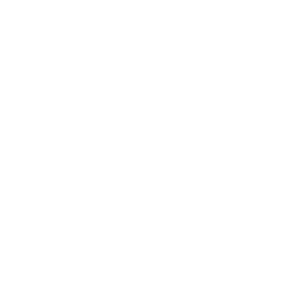 SEGGER